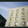 Block 246: Stanton Street between Pitt Street and Ridge Street (north side)