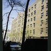 Block 246: Ridge Street between Stanton Street and East Houston Street (east side)