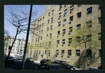 Block 246: Ridge Street between Stanton Street and East Houston Street (east side)