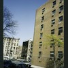 Block 246: Ridge Street between Stanton Street and East Houston Street (east side)