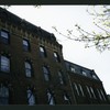Block 247: Stanton Street between Pitt Street and Ridge Street (south side)