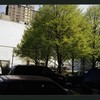 Block 247: Ridge Street between Stanton Street and Rivington Street (east side)