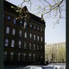 Block 247: Pitt Street between Rivington Street and Stanton Street (west side)