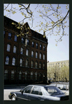 Block 247: Pitt Street between Rivington Street and Stanton Street (west side)