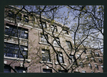Block 248: Ridge Street between Rivington Street and Delancey Street North (east side)
