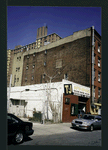 Block 248: Delancey Street North between Ridge Street and Pitt Street (north side)