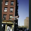 Block 248: Delancey Street North between Ridge Street and Pitt Street (north side)