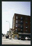 Block 248: Pitt Street between Delancey Street North and Rivington Street (west side)