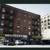 Block 248: Pitt Street between Delancey Street North and Rivington Street (west side)