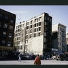 Block 248: Pitt Street between Delancey Street North and Rivington Street (west side)
