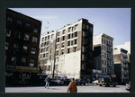 Block 248: Pitt Street between Delancey Street North and Rivington Street (west side)