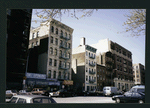Block 248: Pitt Street between Delancey Street North and Rivington Street (west side)