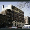 Block 248: Pitt Street between Delancey Street North and Rivington Street (west side)