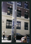 Block 248: Rivington Street between Pitt Street and Ridge Street (south side)
