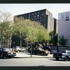 Block 249: Delancey Street South between Pitt Street and Willett Street (south side)