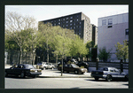 Block 249: Delancey Street South between Pitt Street and Willett Street (south side)