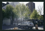 Block 249: Willett Street between Delancey Street South and Grand Street (west side)