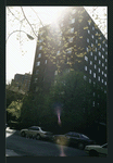 Block 249: Willett Street between Delancey Street South and Grand Street (west side)