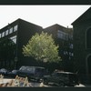Block 249: Willett Street between Delancey Street South and Grand Street (west side)