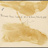 SLC and T. W. Higginson. 1905.