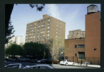 Block 249: Pitt Street between Grand Street and Delancey Street South (east side)