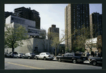 Block 250: East Broadway between Grand Street and Samuel Dickstein Plaza (north side)