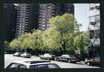 Block 250: East Broadway between Grand Street and Samuel Dickstein Plaza (north side)