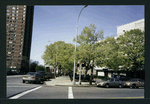 Block 250: East Broadway between Grand Street and Samuel Dickstein Plaza (north side)
