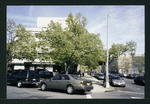 Block 250: Samuel Dickstein Plaza (Pitt Street) between East Broadway and Grand Street (east side)