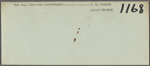 Agreements, correspondence, forms, statements from various theatrical agencies concerning Samuel Langhorne Clemens from the files of the American Play Company.