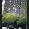 Block 252: Pitt Street between Grand Street and Broome Street (west side)