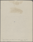 Lyon, Isabel. Holograph notes on a photograph of Mr. Clemens and Col. Higginson.