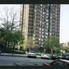 Block 252: Pitt Street between Grand Street and Broome Street (west side)