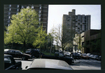Block 252: Pitt Street between Grand Street and Broome Street (west side)