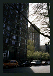 Block 252: Broome Street between Pitt Street and Clinton Street (south side)