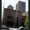 Block 253: Delancey Street South between Pitt Street and Ridge Street (south side)