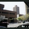 Block 253: Delancey Street South between Pitt Street and Ridge Street (south side)