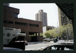 Block 253: Delancey Street South between Pitt Street and Ridge Street (south side)