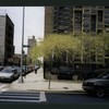 Block 254: Ridge Street between Delancey Street South and Broome Street (west side)