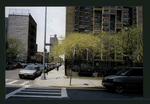 Block 254: Ridge Street between Delancey Street South and Broome Street (west side)