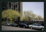 Block 254: Broome Street between Ridge Street and Clinton Street (north side)