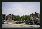Block 254: Clinton Street between Broome Street and Delancey Street South (east side)