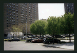 Block 254: Delancey Street between Clinton Street and Ridge Street South (south side)
