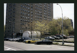 Block 254: Delancey Street between Clinton Street and Ridge Street South (south side)