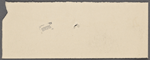C[hatto] and W[indus], ALS to. Feb. 1, 1897.
