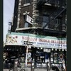 Block 256: Delancey Street North between Attorney Street and Clinton Street (north side)