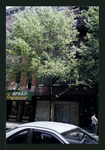 Block 256: Clinton Street between Delancey Street North and Rivington Street (east side)