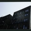 Block 257: Stanton Street between Clinton Street and Ridge Street (south side)