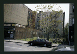 Block 258: East Houston Street between Attorney Street and Ridge Street (south side)