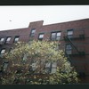 Block 258: Ridge Street between East Houston Street and Stanton Street (west side)